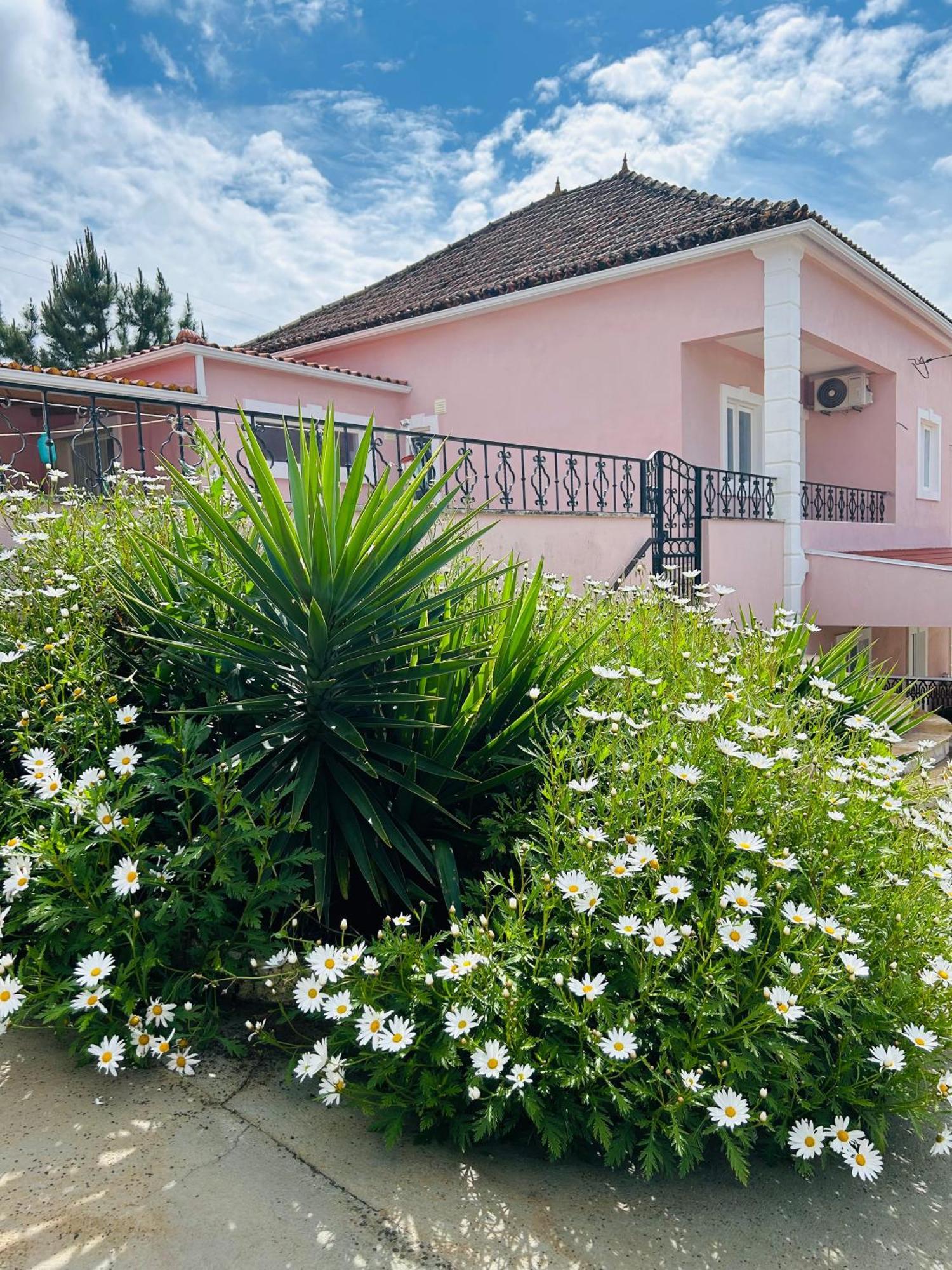 Mae Home Story Caldas Da Rainha Eksteriør bilde