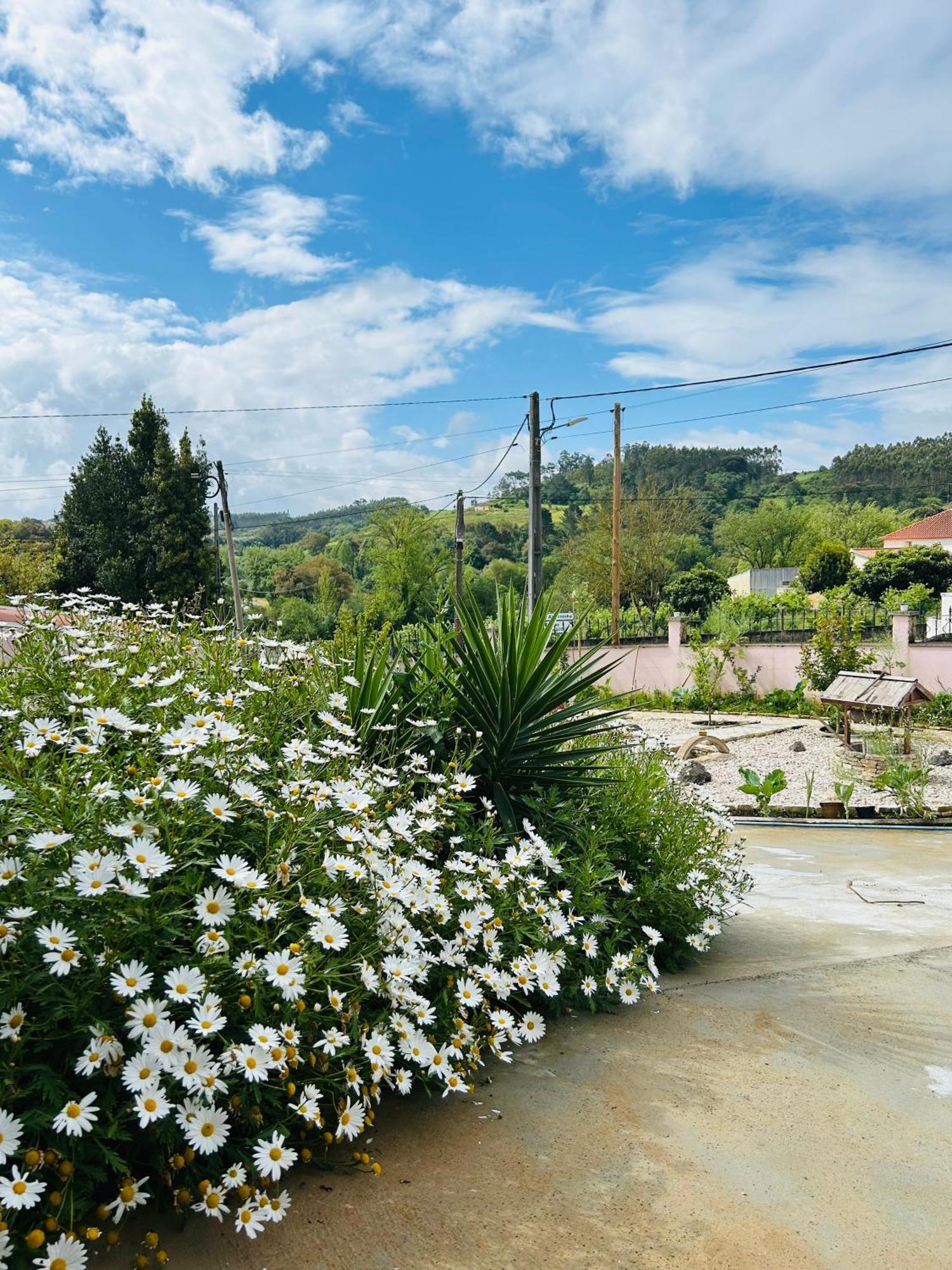 Mae Home Story Caldas Da Rainha Eksteriør bilde